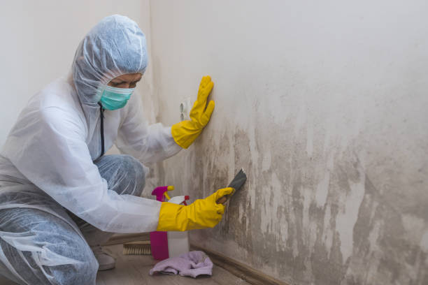 Best Mold Testing  in Granite Quarry, NC