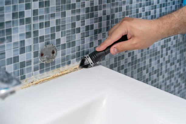 Granite Quarry, NC Mold Removal Company