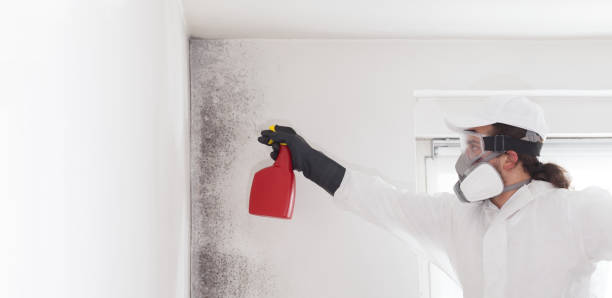 Crawl Space Mold Removal in Granite Quarry, NC