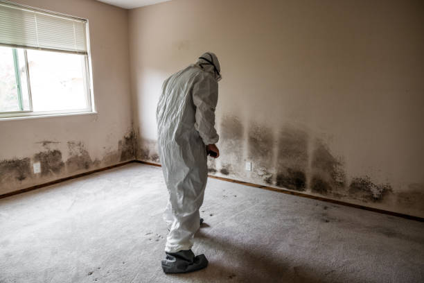 Best Office Mold Removal Services  in Granite Quarry, NC